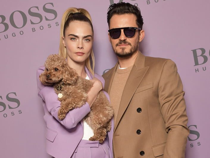 179 safilo polaroid mfw