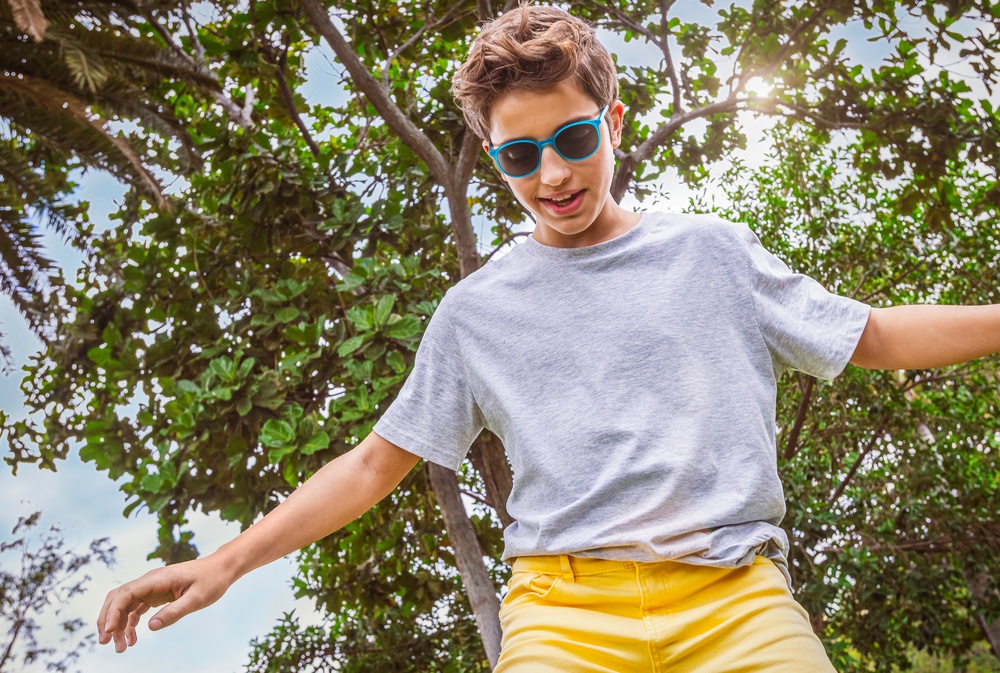 HOYA AMBIENTATA MiYOSMART Chamaleon