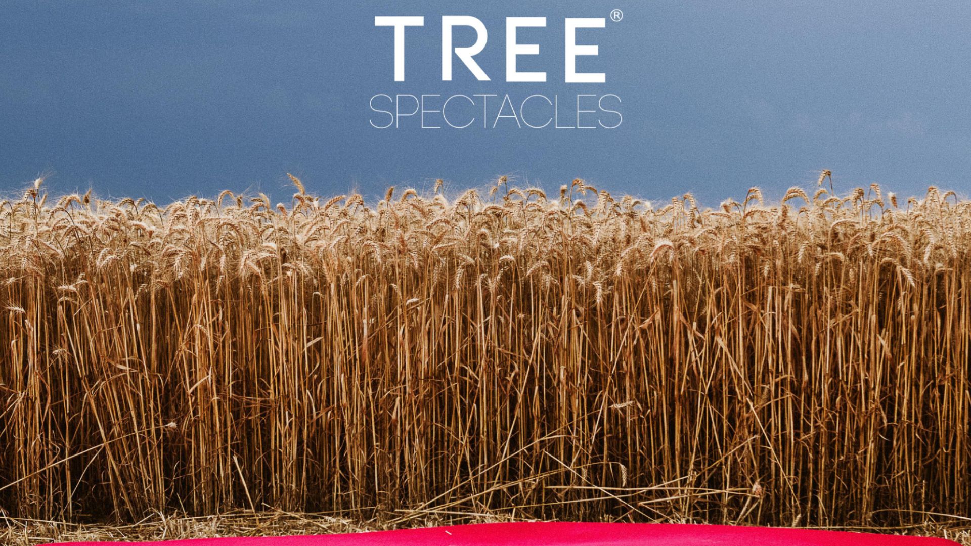 tree spectacles